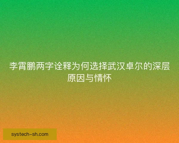 李霄鹏两字诠释为何选择武汉卓尔的深层原因与情怀